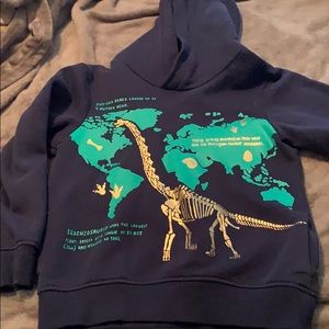 Dino hoodie